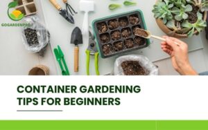 Container Gardening Tips for Beginners