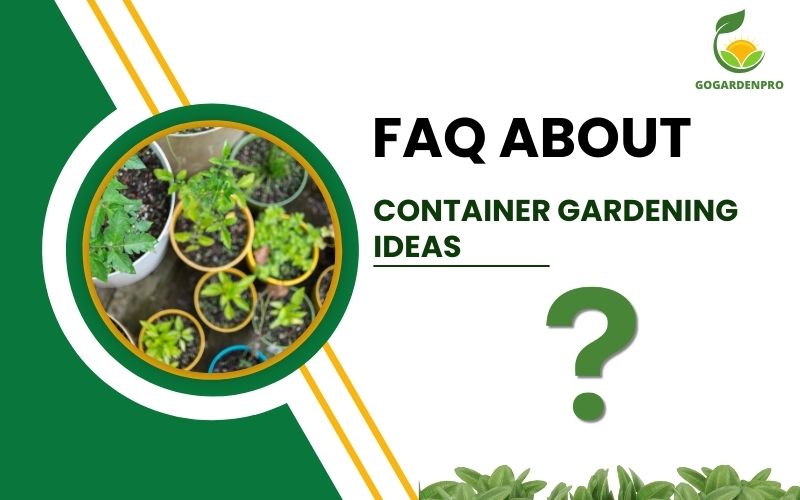 FAQ about Container Gardening Ideas