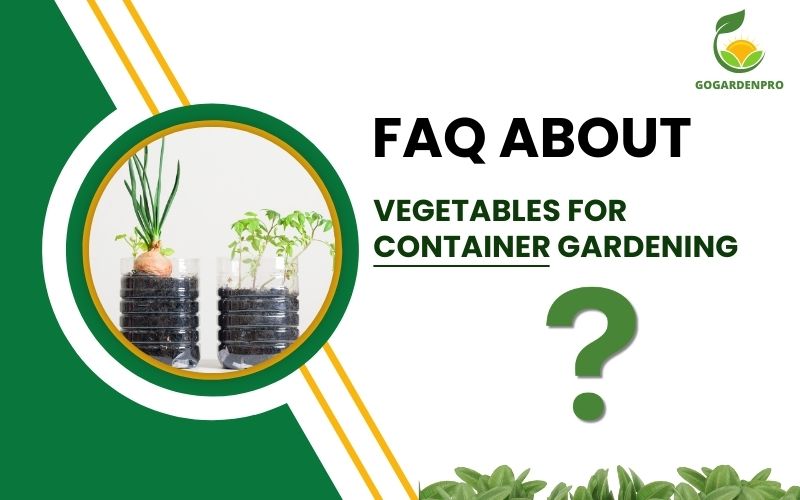 FAQ about Vegetables for Container Gardening