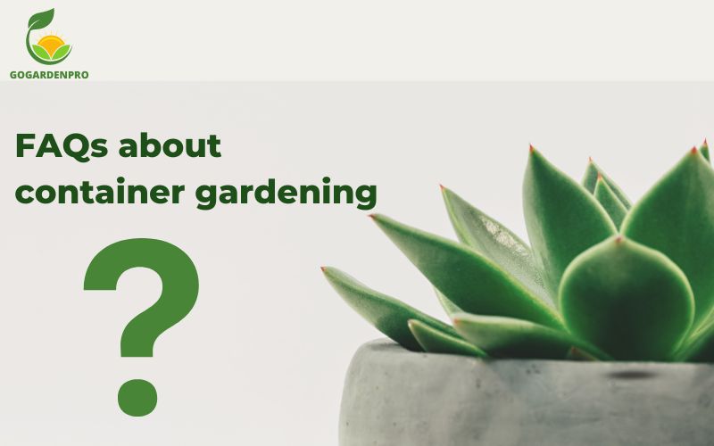 FAQs about container gardening