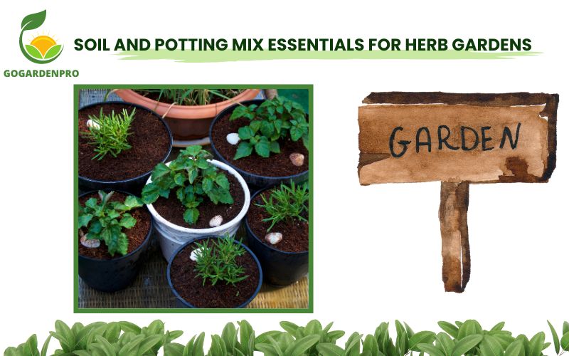 Soil and Potting Mix Essentials for Thriving Herb Gardens