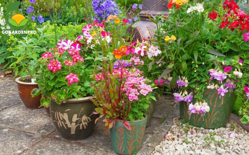 container garden ideas - Colorful Annuals