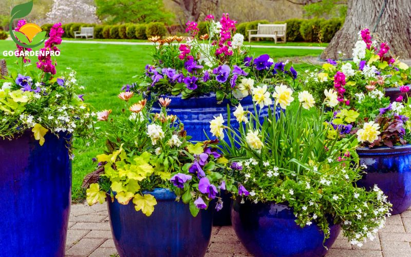 container garden ideas- Pollinator Attractor